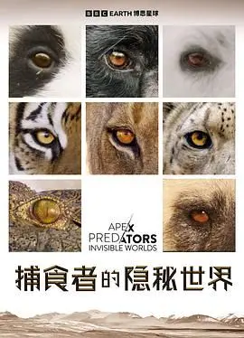 《捕食者的隐秘世界》：揭秘自然界残酷生存法则，生命与死亡的生死游戏